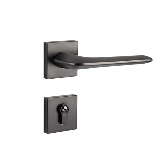 Interior Door Handle Lock Set with Matte Finish Silent Lock