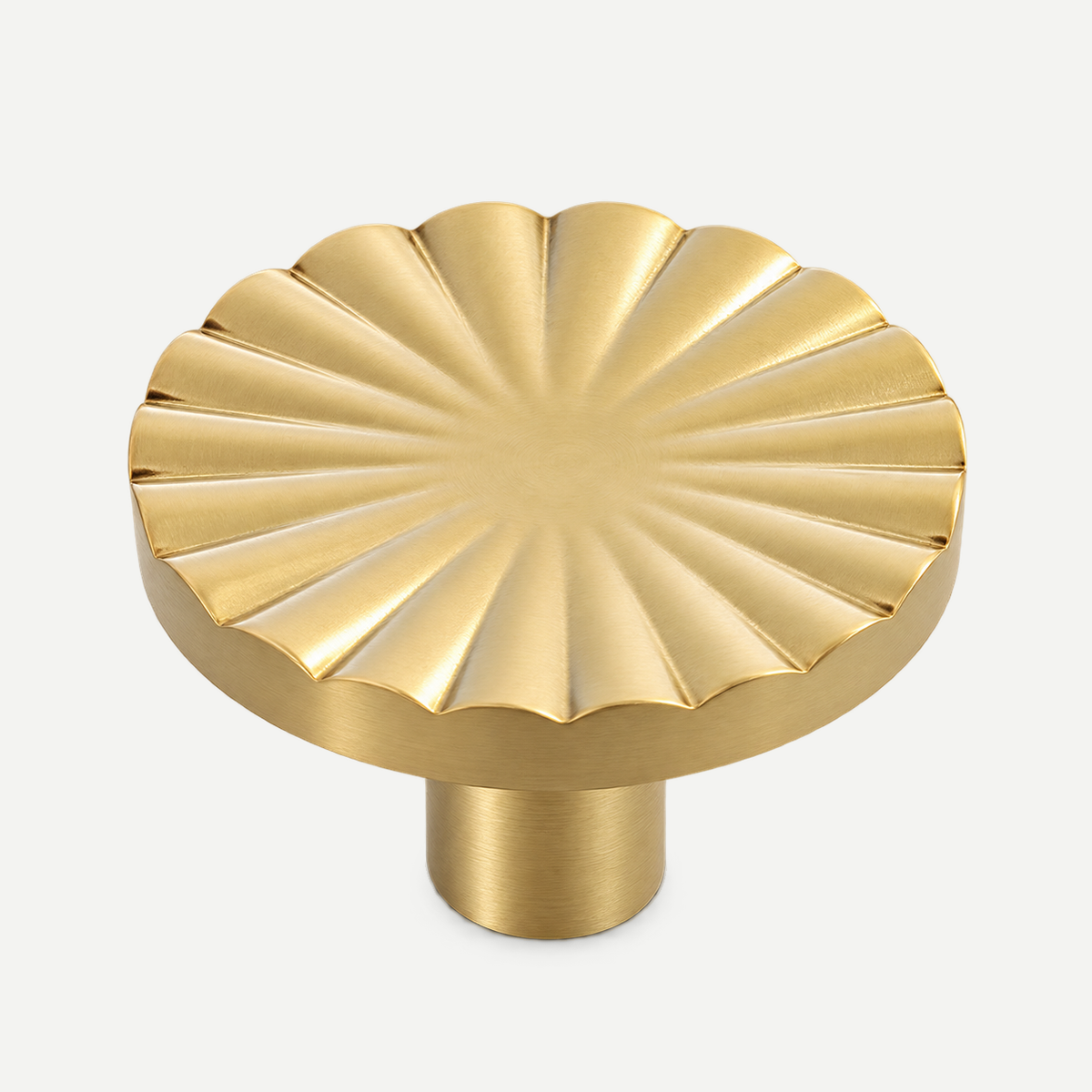Sunflower brushed brass cabinet knob - single item 30 by 20 mm