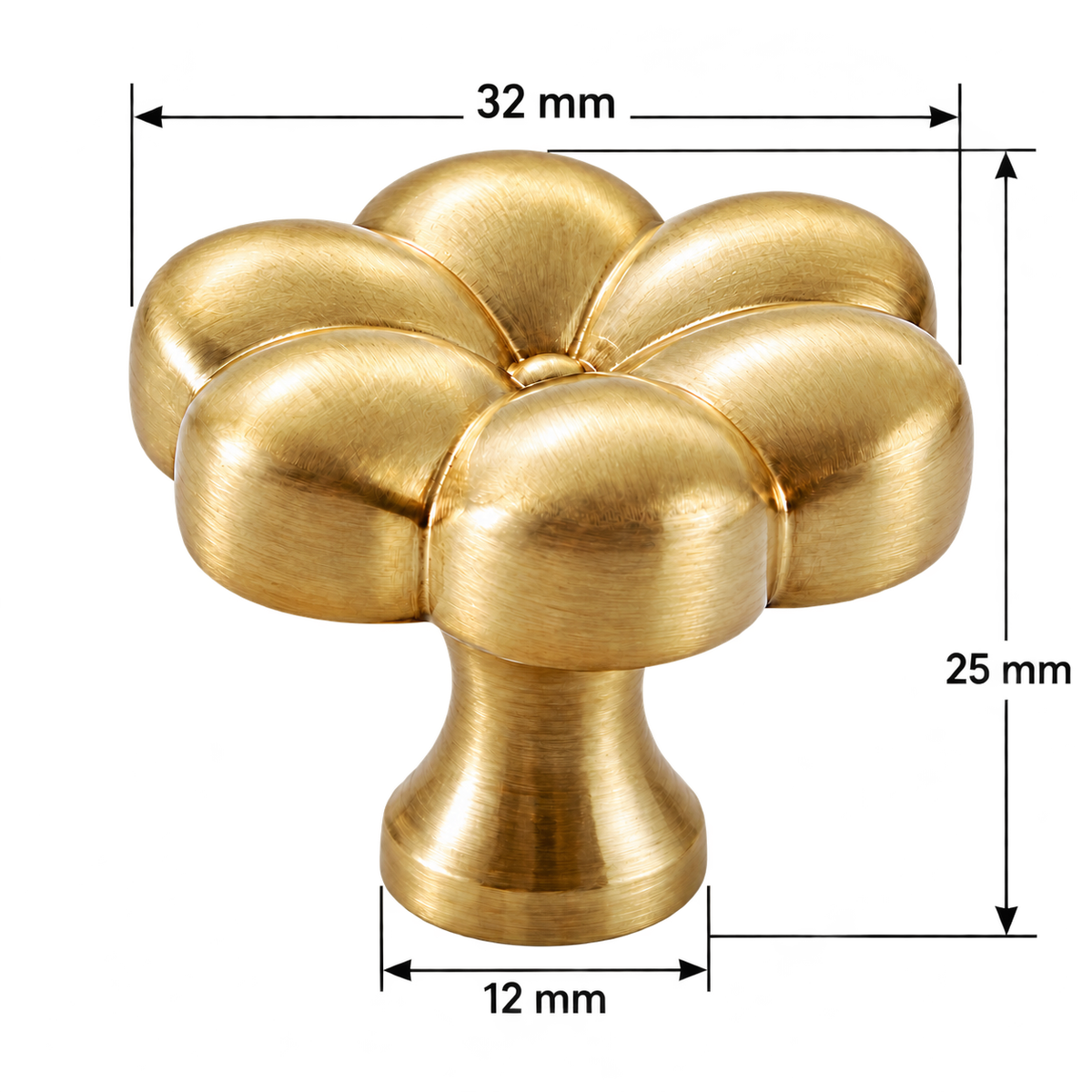 Aster six-petal brass knob dimensions on white - head32mm height25mm base12mm