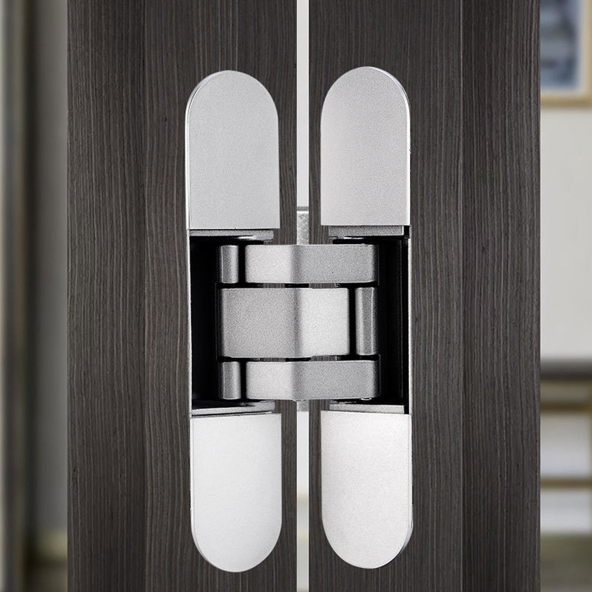 2Pcs Metal Concealed 3D Door Hinge for Door Furniture